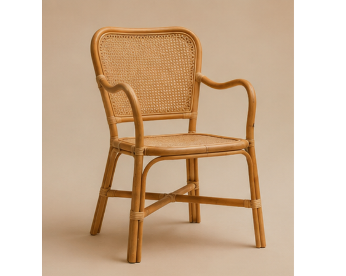 Chaise rotin et cannage avec accoudoirs | CANNA